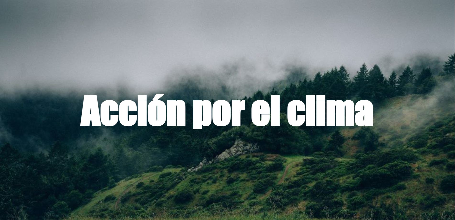 Acción por el clima