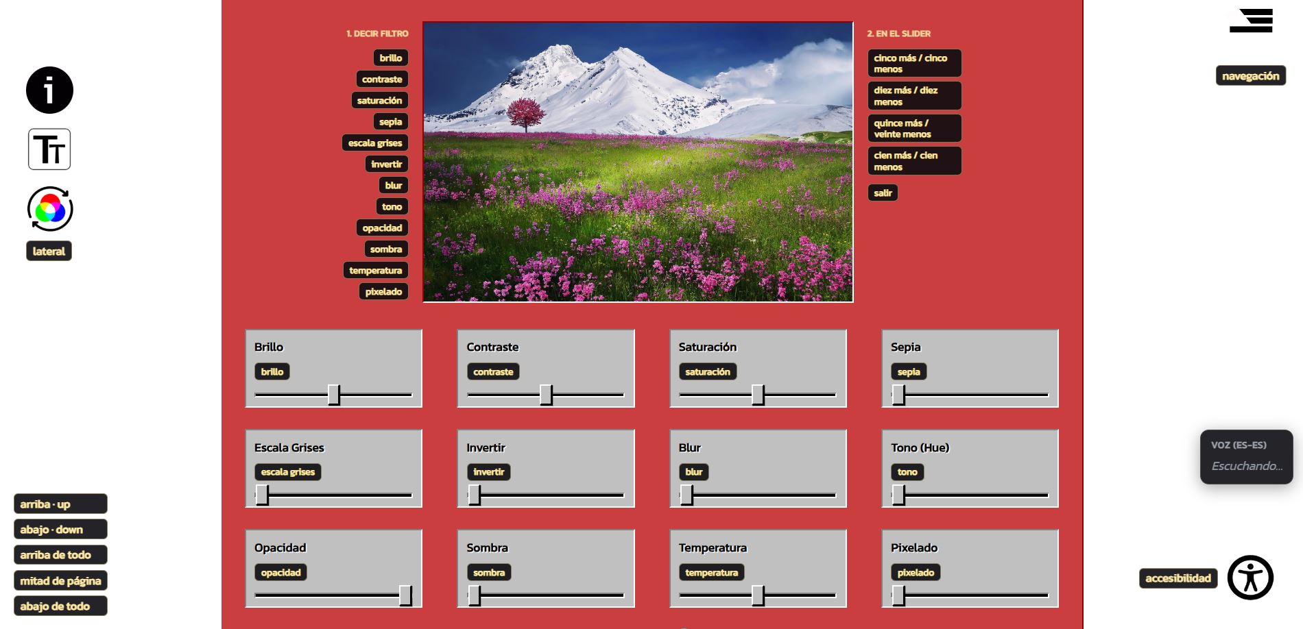 Sitio web accesible